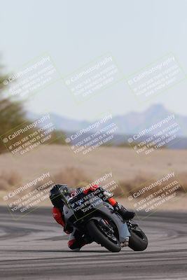 media/Nov-30-2025-TrackXperience (Sun) [[c0061d280f]]/2-Level 2/Session 6 Turn 4 Tree of Life/